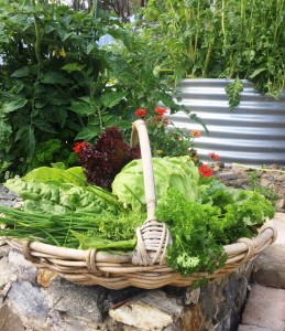 201501 Garden & vegetables
